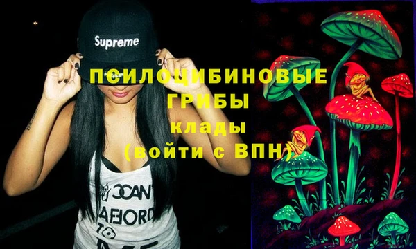 не бодяженный Медвежьегорск