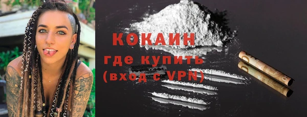 первитин Михайлов