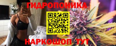 таблы Гатчина