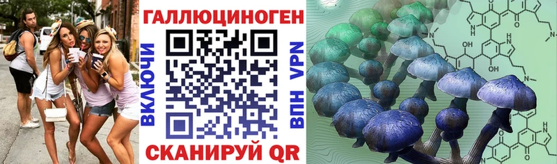 наркота Ефремов Галлюциногенные грибы мухоморы