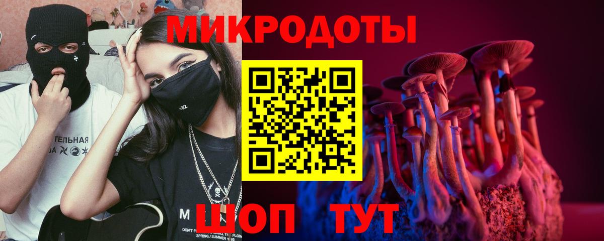 Псилоцибиновые грибы мухоморы Ефремов