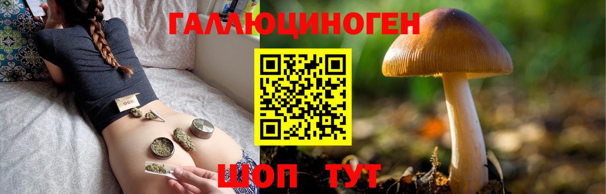 Галлюциногенные грибы Psilocybe  как найти   Псилоцибиновые грибы мицелий  Ефремов  Вход с VPN 